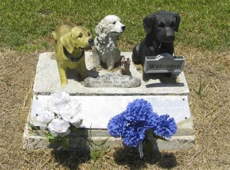 Find the best 'animal cremation' near you by sharing your location or by entering an address, city, state or zip code. Pet Cremation And Pet Ashes: Do Your Homework | OneWorld ...