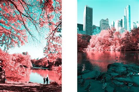 Central Park Infared Paolo Pettigiani 5 Infrared Photography City