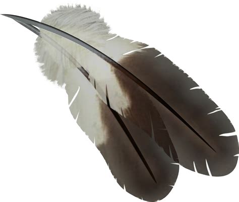 Indian Feathers Png Free Logo Image