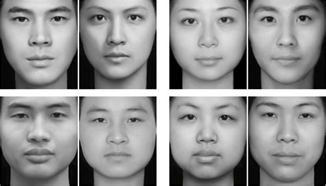 frontiers the effect of target sex sexual dimorphism and facial attractiveness on