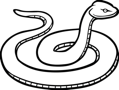 Download Free Clipart Of A Snake Png File