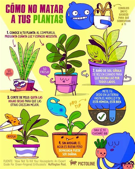 Álbumes 91 Foto Infografía Del Cuidado De Las Plantas Actualizar