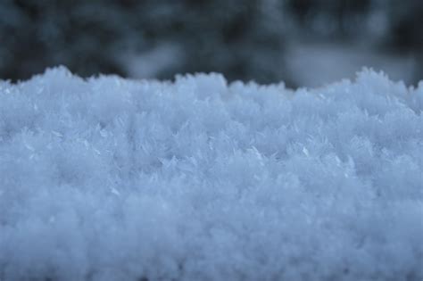Ice Crystals Snow Frost Free Photo On Pixabay Pixabay