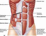 Photos of Core Muscles Recovery