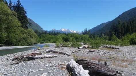 The Hoh River Trail In Olympic National Park Is Like