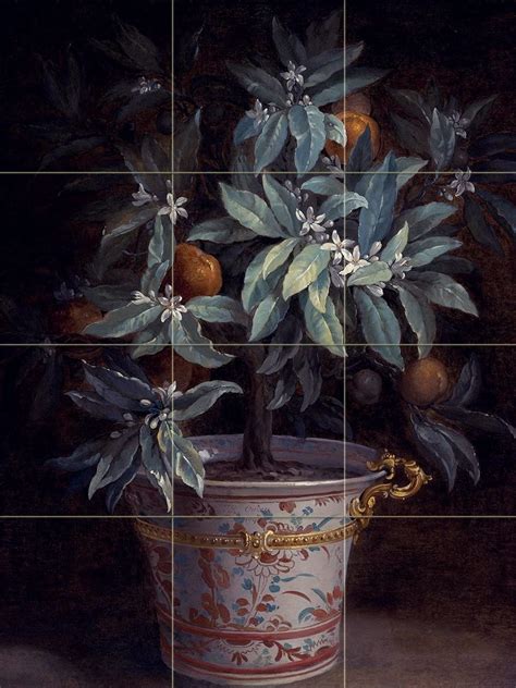 Orange By Jean Baptiste Oudry Tree Plant Flower Tile Mural Kitchen