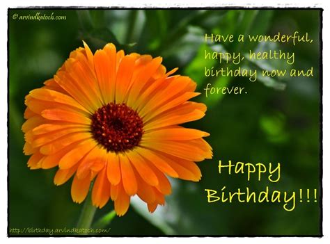 New Happy Birthday Images With Fall Flowers Happy Birthdays Images