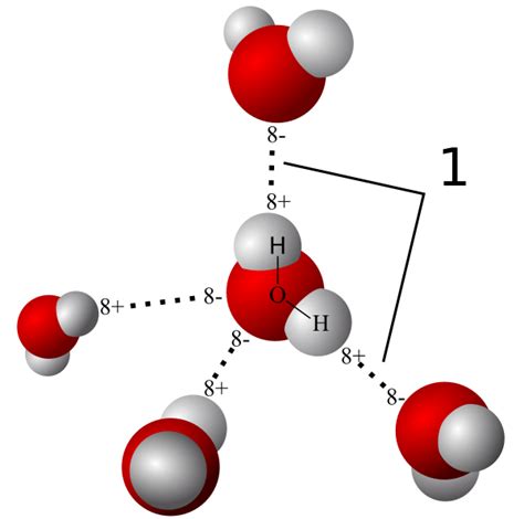 A covalent bond is a chemical bond that involves the sharing of electron pairs between atoms. 2.1J: Hydrogen Bonding and Van der Waals Forces - Biology ...