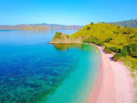 Pink beach, the komodo national park cruises & adventures by hello indo will be your ultimate travel experience and a great komodo. Pink Beach Komodo Island | Visit and Enjoy The Beauty ...