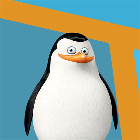 Penguins Of Madagascar Private And Skipper