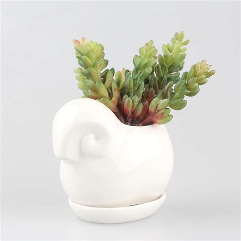 Sheep Design Ceramic Flower Pot Bonsai Free Shipping Cute Succulent