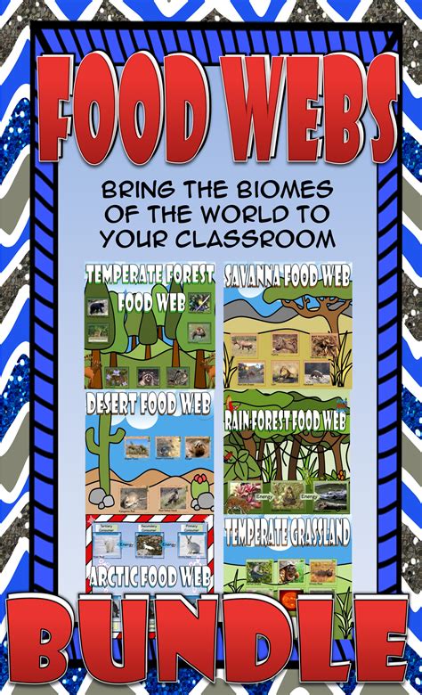 Food Chain and Food Web: Biome Card Sort Bundle | Food web, Biomes