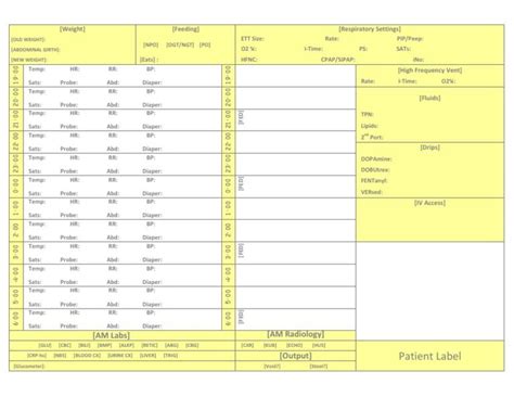 Nicu Nurse Report Sheet