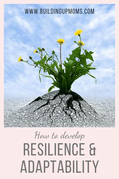 Resilience And Adaptability Building Up Moms