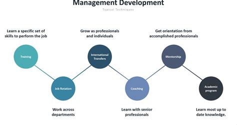 Management Development Most Effective Techniques And Main Programs