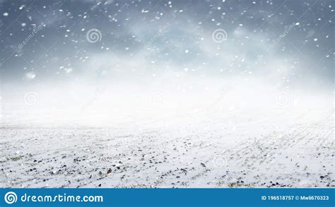 Snowfall In The Field Field With Winter Wheat And Cloudy Sky During