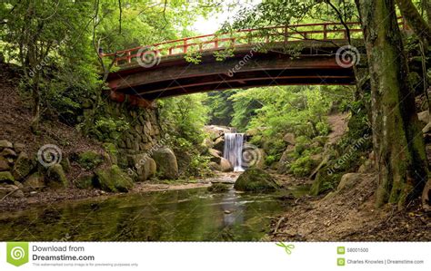 Waterfall And Bridge In Japan Forest Stock Photo Image Of Japan
