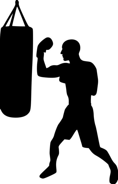Boxeo Formación Silueta Gráficos Vectoriales Gratis En Pixabay