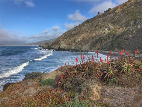 Taylor state park and the anthony chabot regional park. Mount Tamalpais Mountain Bike Camping Near San Francisco