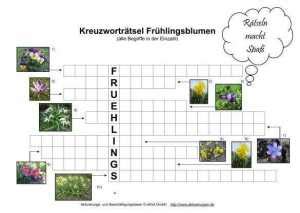 Diese rechenrätsel können wie arbeitsblätter als unterrichtsmaterial eingesetzt werden und eignen sich sehr gut als effektives gehirnjogging für jung und alt. Kreuzworträtsel Frühlingsblumen im Internet für Senioren Downloaden