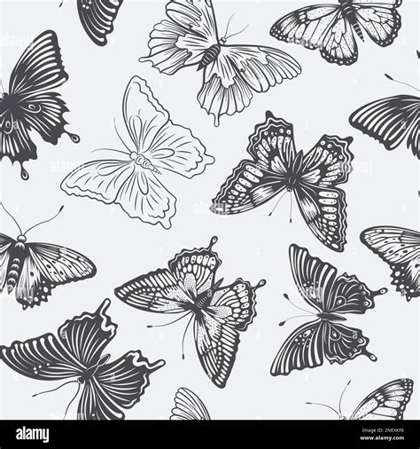Vector Seamless Pattern With Hand Drawn Black Butterflies On White