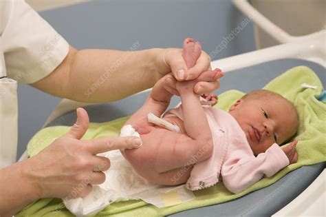 How do you care for an uncircumcised penis? Newborn, care - Stock Image - C006/3714 - Science Photo ...