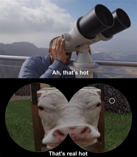 that hot will smith in youtube rewind 2018 know your meme