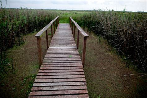 Argentinas Newest National Park Protects Vital Wetlands