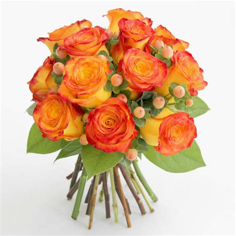 One Dozen Free Spirit Rose Bouquet In Gibbstown Nj