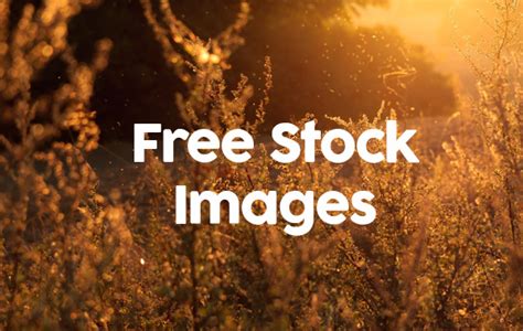 Find the best stock photo sites and stock photography. Free stock photography stock photo File Page 13 ...