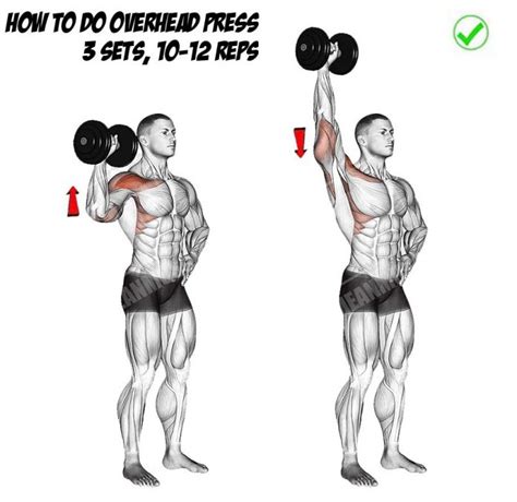 How To Perfect The Overhead Shoulder Press Tips Benefits