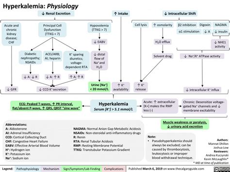 Hyperkalemia Physiology Calgary Guide