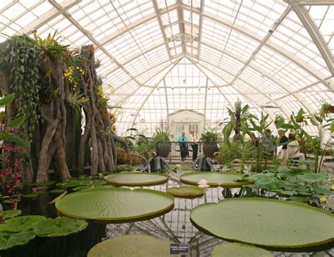 This unique and historic facility located in golden gate park boasts five exhibit spaces with exotic plants and flowers from all over the world. A destination for generations of visitors, the ...