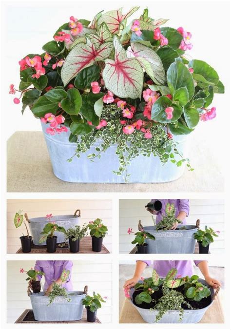 Perfect For The Porch A Spring Container Garden By Carmen Johnston