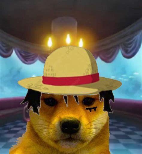 Doge With Hat Meme Steam Workshop Dog With A Hat The Best Memes