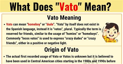 Rabbit with big ears in spanish is: Vato Meaning: What Does the Popular Term 'Vato' Mean? • 7ESL