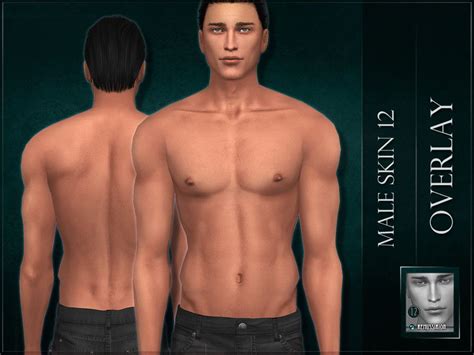 Remussirions Male Skin 12 Overlay In 2021 Skin Overlays Male
