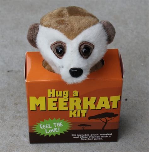 Kit Hug A Meerkat Campbells Online Store