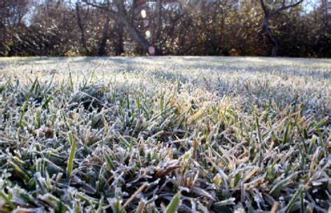 Maintaining Your Lawn In The Winter Beautyharmonylife