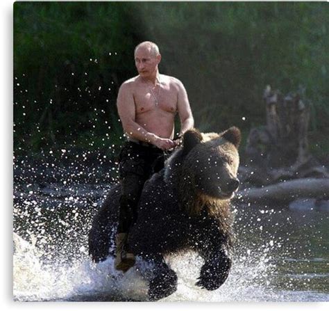 Vladimir Putin Riding A Bear Metal Print By Andrewgoodman Redbubble