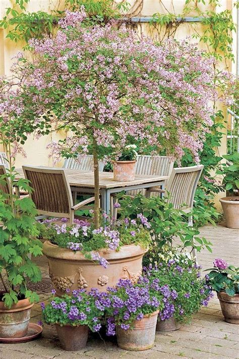 36 Fresh Cottage Garden Ideas For Front Yard And Backyard Inspiration