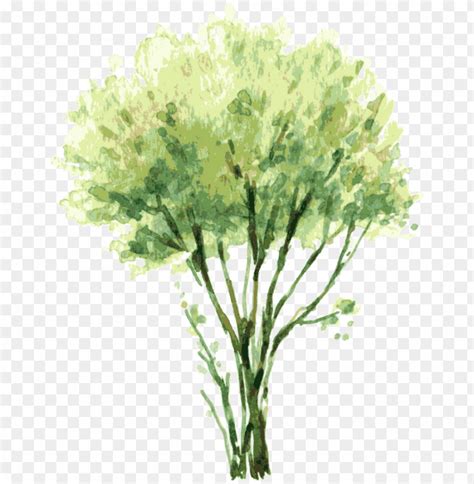 Watercolor Trees Png Image With Transparent Background Toppng
