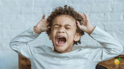 Understanding Toddler Aggression When To Worry And How To Respond