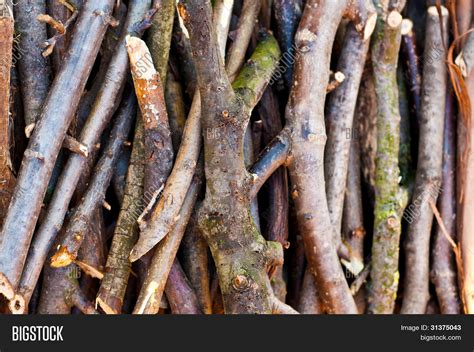 Sticks Twigs Stack Image And Photo Free Trial Bigstock