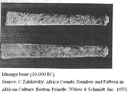 Ishango Bone A 20000 Years Old African Mathematical Document