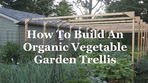 Organic Vegetable Garden Trellis Youtube