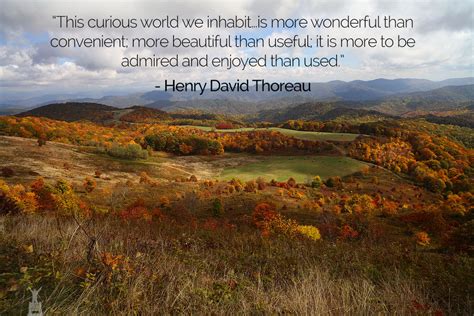 Nature Quotes Thoreau Walden Quotesgram