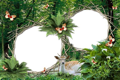 Photoshoppng Frames Wallpapers Designs Nature Frames