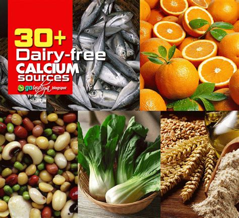 30 surprising non dairy foods high in calcium natural home remedies simple and effective