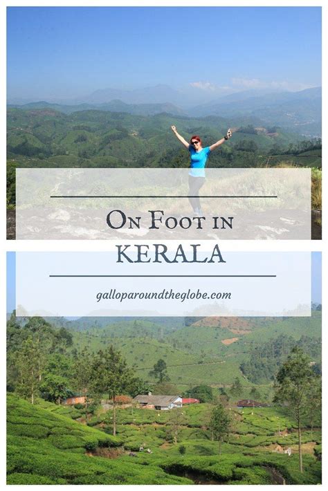 Kerala Travel Guide A Review Of The On Foot In Kerala Tour With